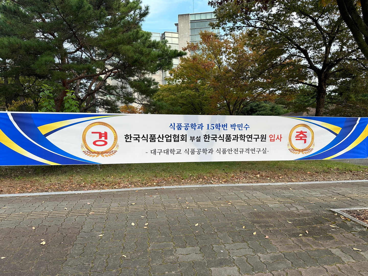 입사를 축하드립니다.